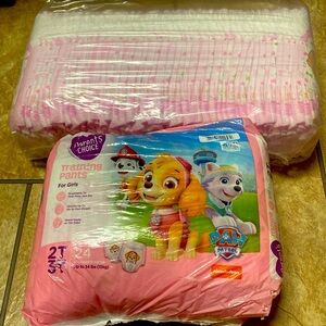 2T-3T Girl’s Training Pants Bundle